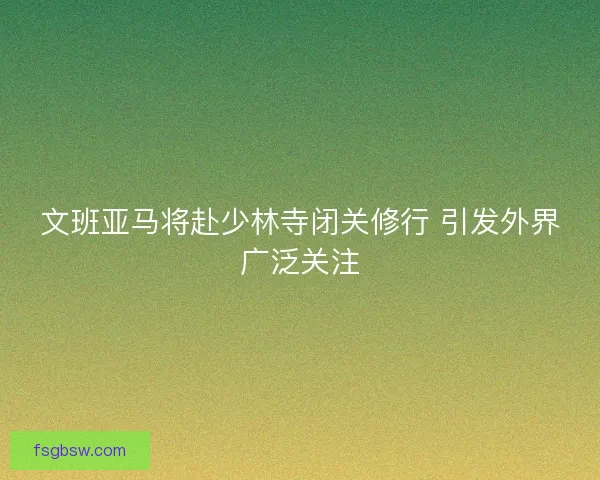 文班亚马将赴少林寺闭关修行 引发外界广泛关注